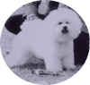 madlouie.jpg (58177 bytes)