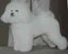 puffnstuff.jpg (67740 bytes)